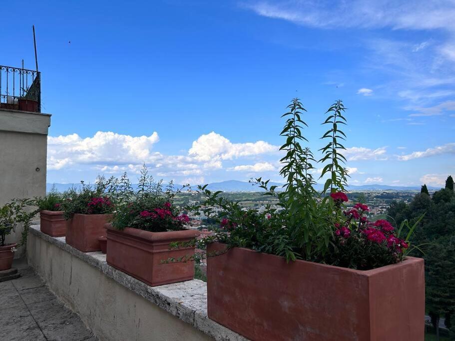 La Terrazza Di Ciro Pinsuti Apartment Sinalunga Exterior photo